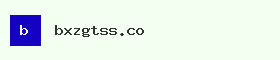 bxzgtss.com